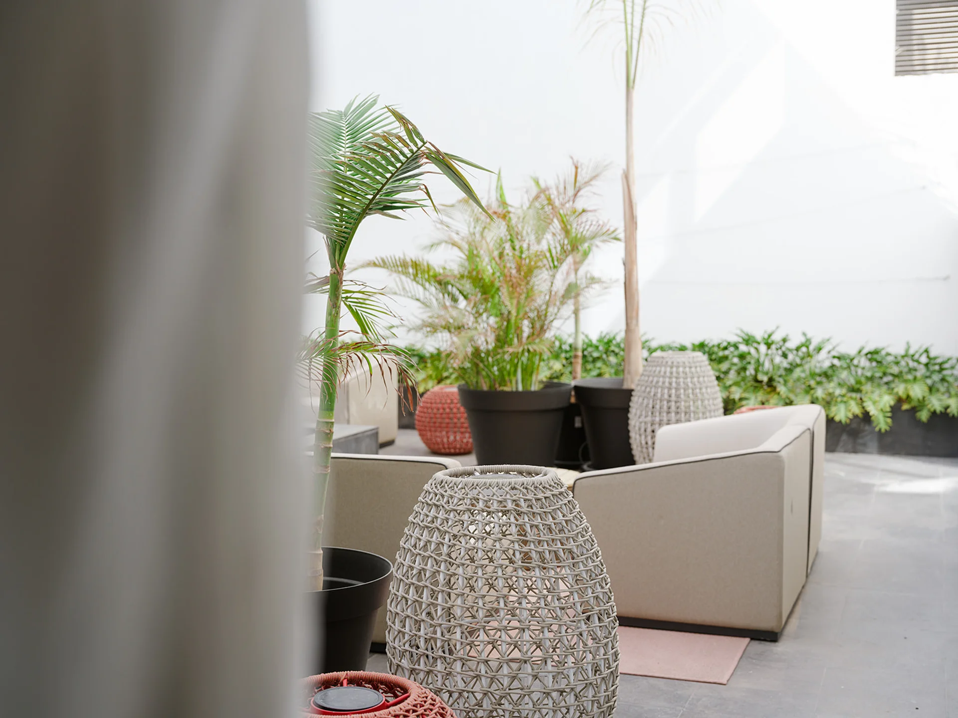 Image - 73f77d02-ce45-4a4c-ad9c-2a76a90bf2b5