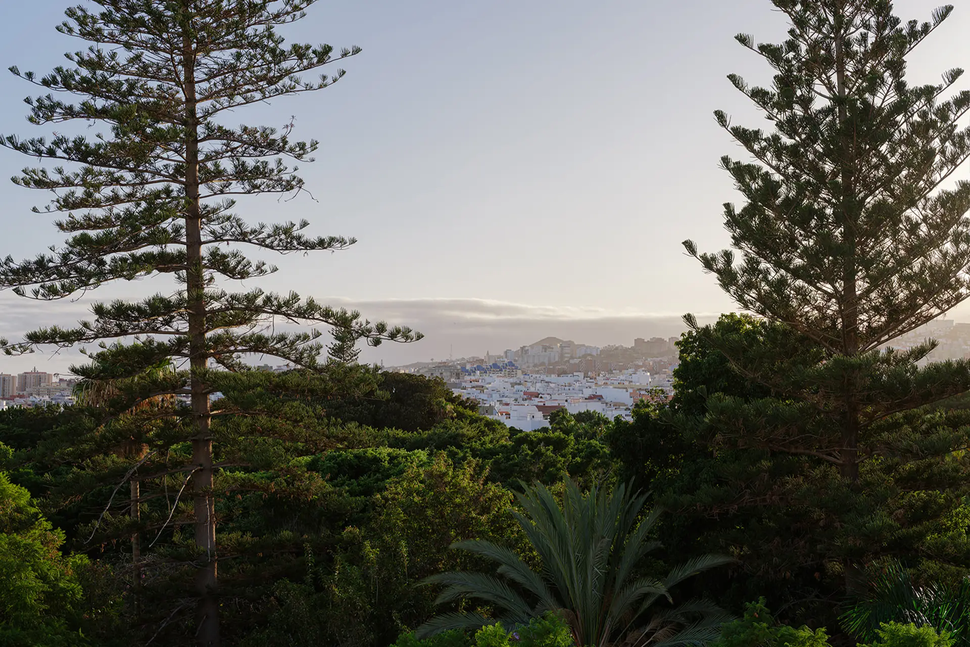 Image - c459f20c-1fba-47f6-b69a-abd87042647b