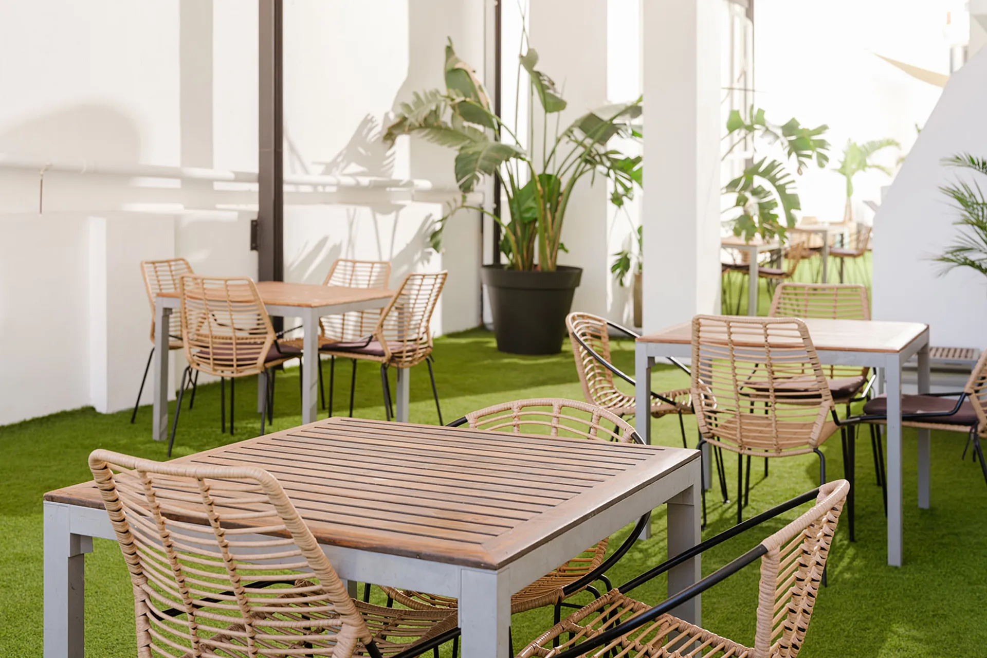 Image - 67b9fd42-448d-4da9-84bd-3d02a2d279ea