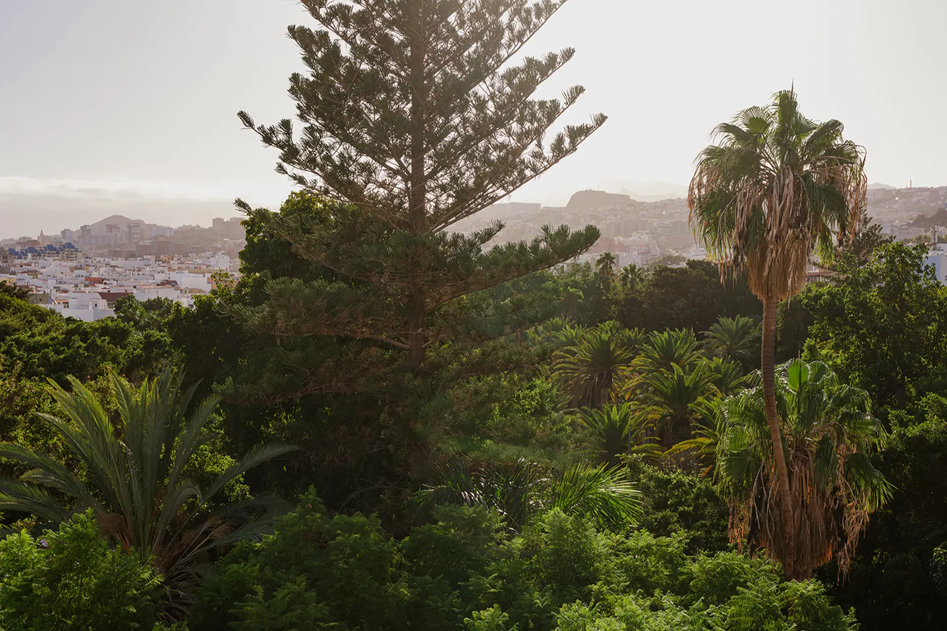 Image - a76109f9-6aef-4bd8-a4ef-8989699dca0f