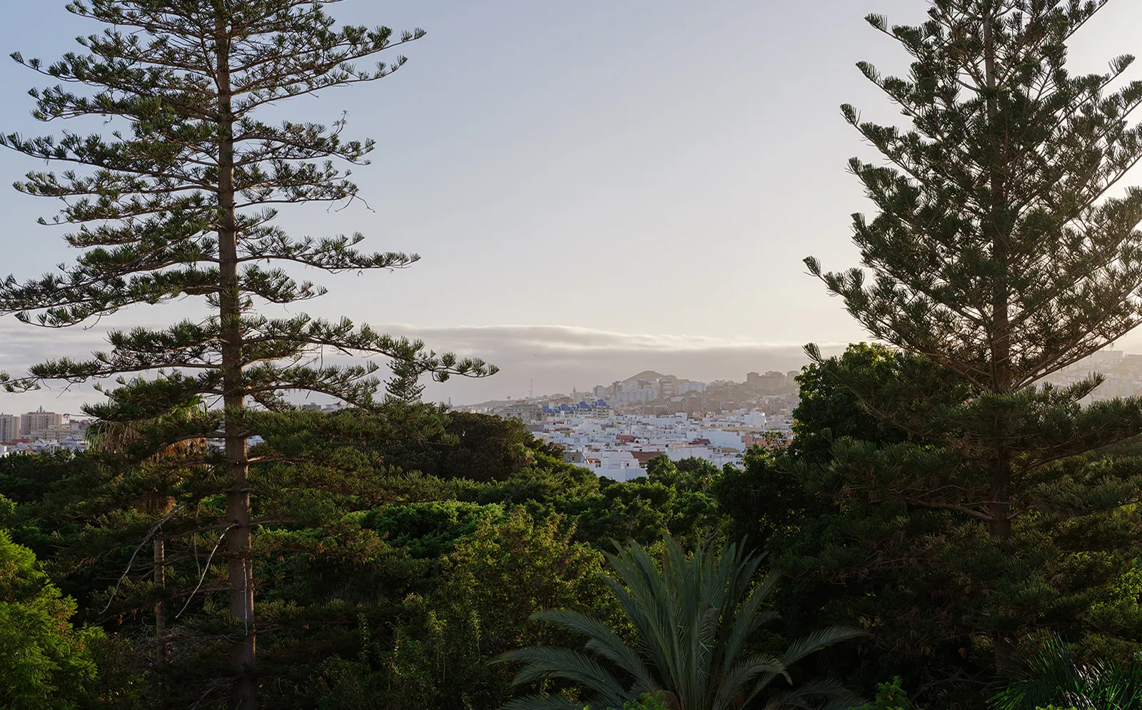 Image - 3e36cae8-2635-4231-90ea-a789cc10c01d