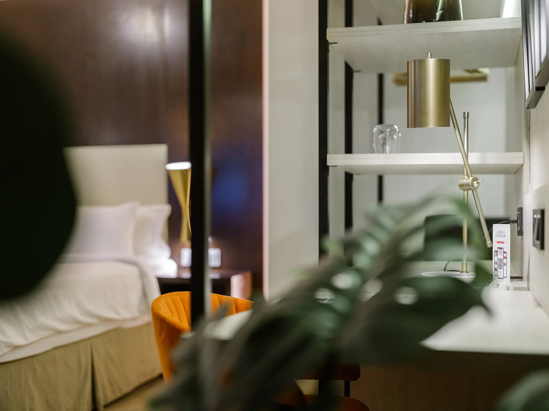 Image - cca93f45-7fc7-4b1c-bfd4-8168332c242c