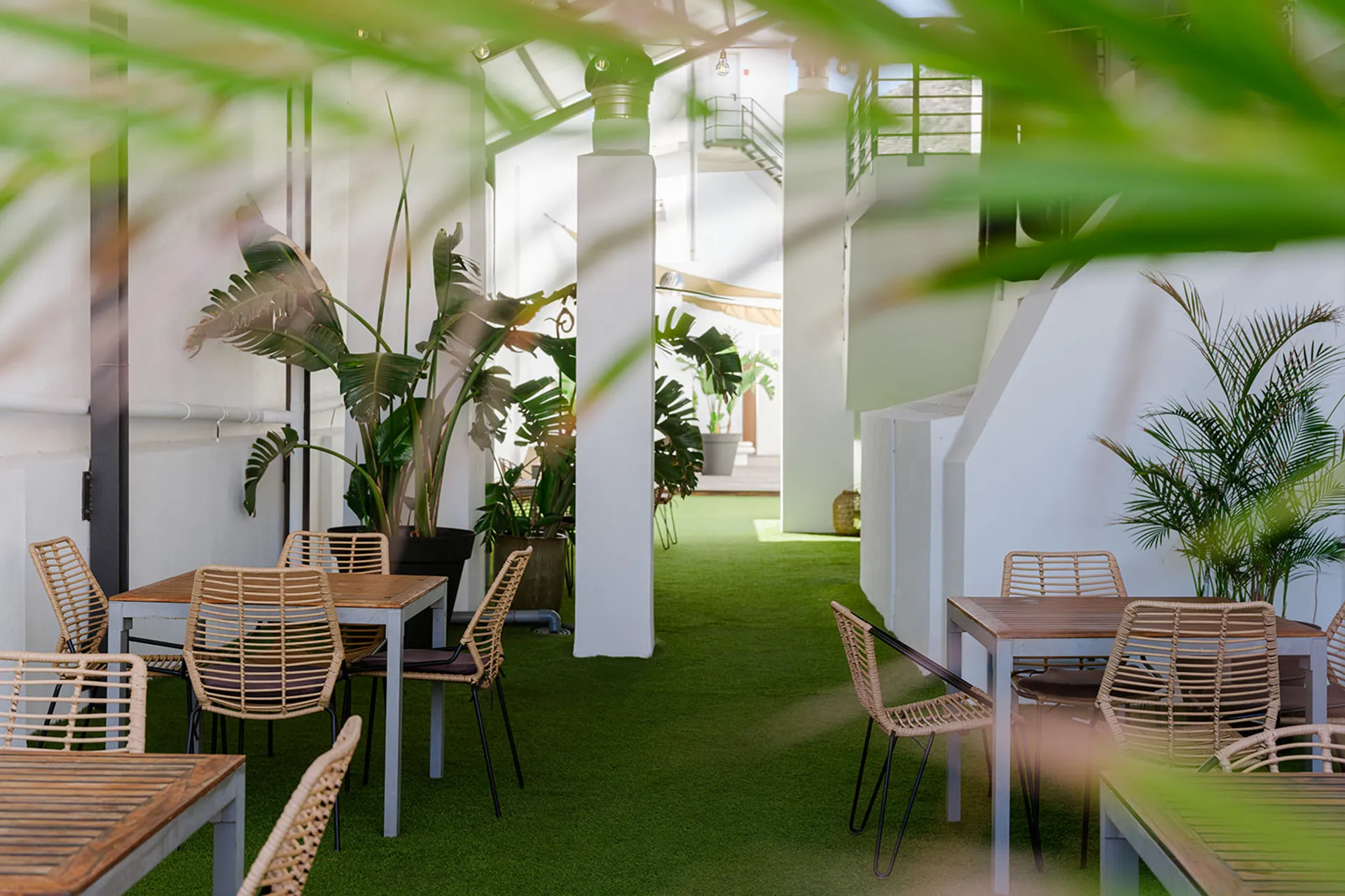 Image - 0900b310-8f61-4760-bd16-f0e6c77e456d