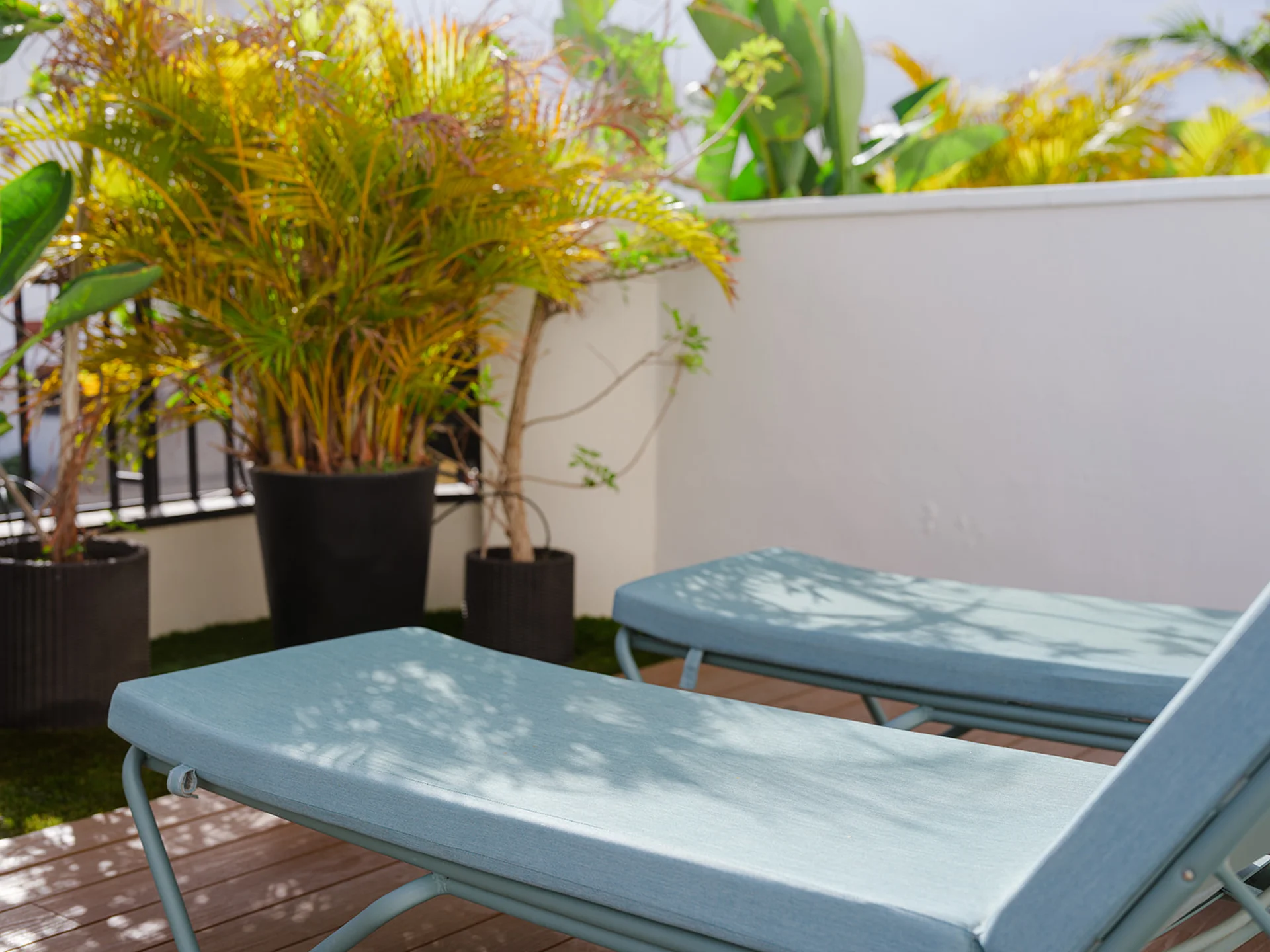 Image - bb749edf-87e6-4108-96a6-bc93a90d0f49